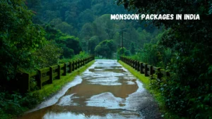 Monsoon Packages in India