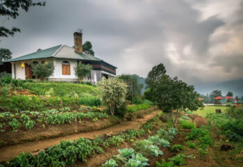 MADUKELLE TEA AND EKO LODGE